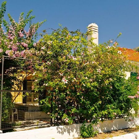 Ferienwohnung House With Garden Near The Sea Agia Efimia Exterior foto