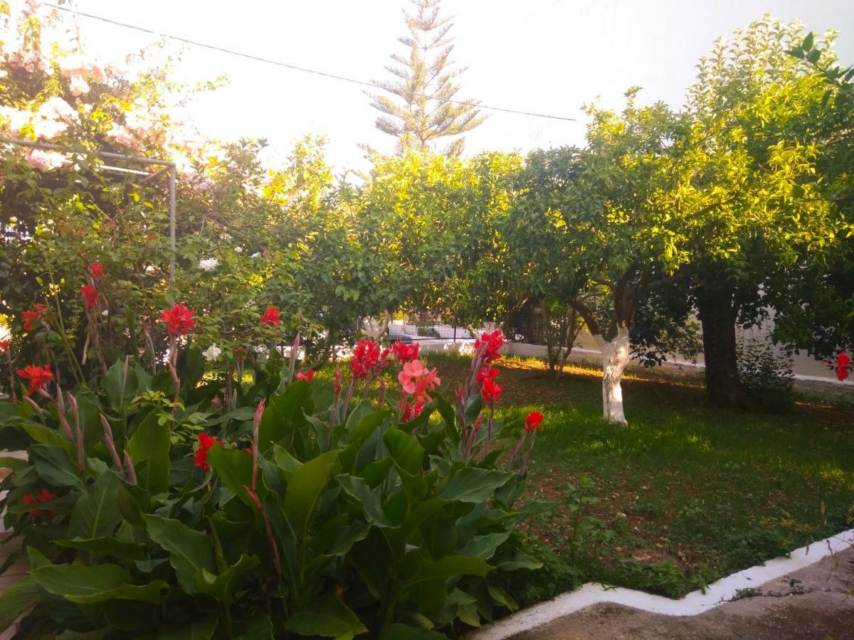 Ferienwohnung House With Garden Near The Sea Agia Efimia Exterior foto