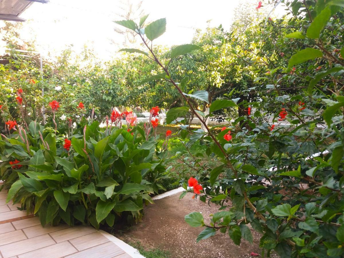 Ferienwohnung House With Garden Near The Sea Agia Efimia Exterior foto