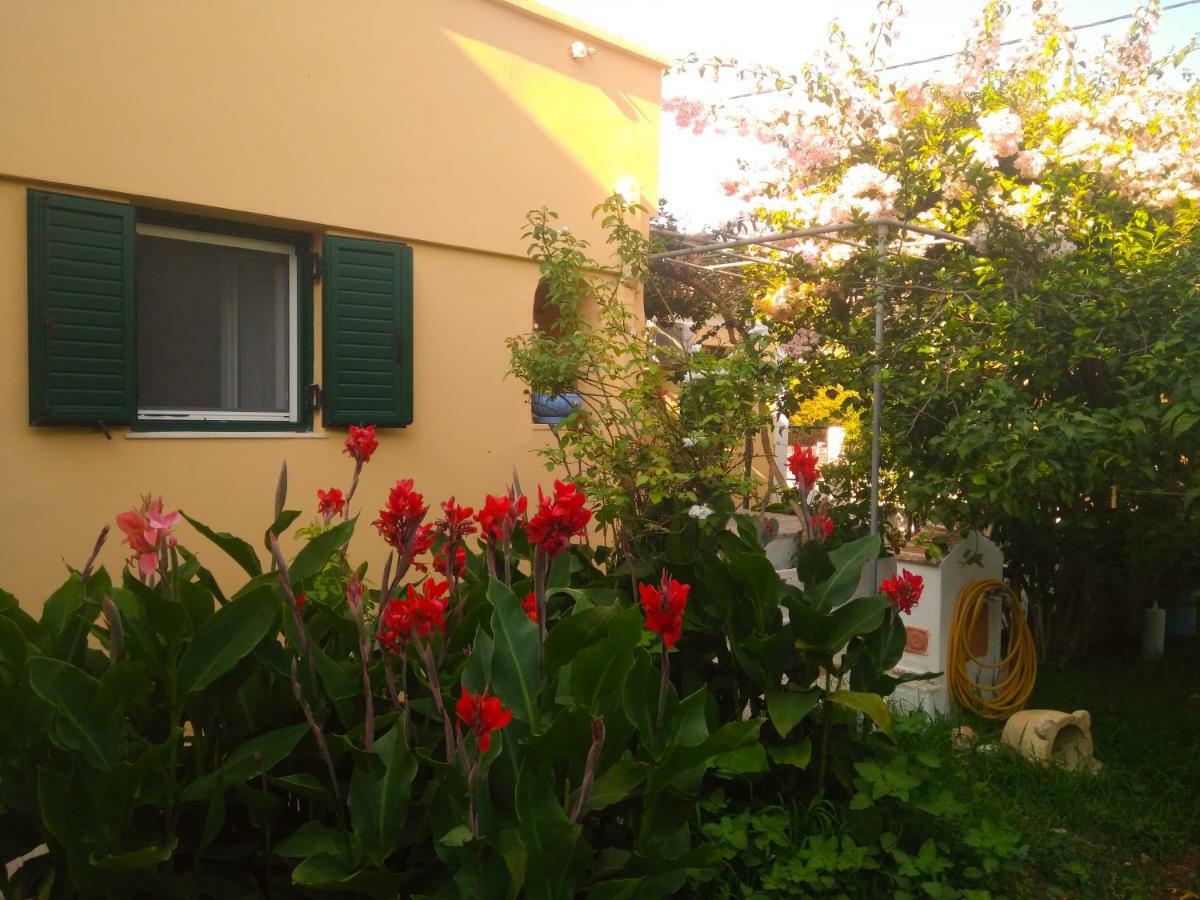 Ferienwohnung House With Garden Near The Sea Agia Efimia Exterior foto