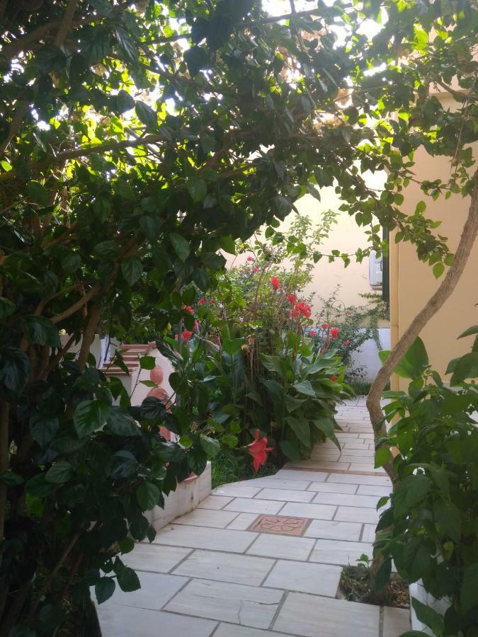 Ferienwohnung House With Garden Near The Sea Agia Efimia Exterior foto